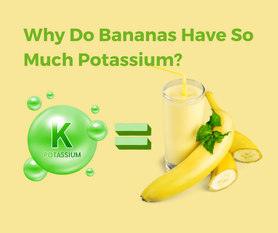 Why Do Bananas Have So Much Potassium? Healthyfruta